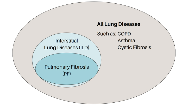 What Is Pulmonary Fibrosis | Pulmonary Fibrosis Foundation